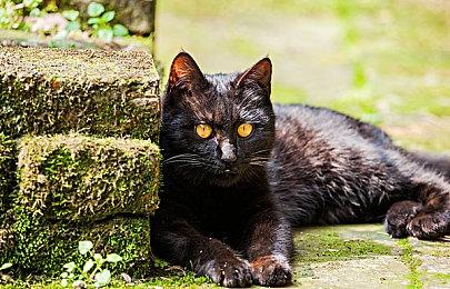 赛博朋克风回合制节奏战斗游戏《Keylocker》现已正式推出 并获好评